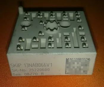 SKIIP13NAB066V1